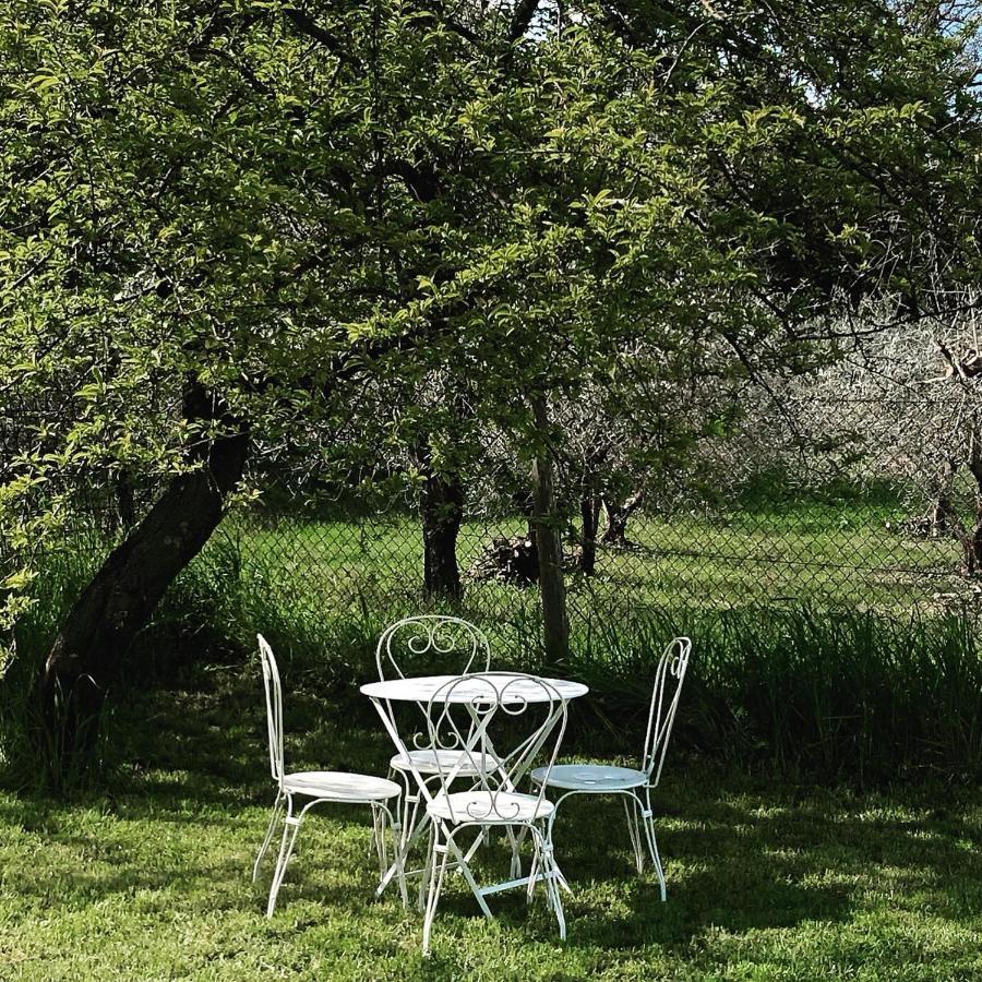 Lemon Tree Boutique Guest House Todi Exterior photo